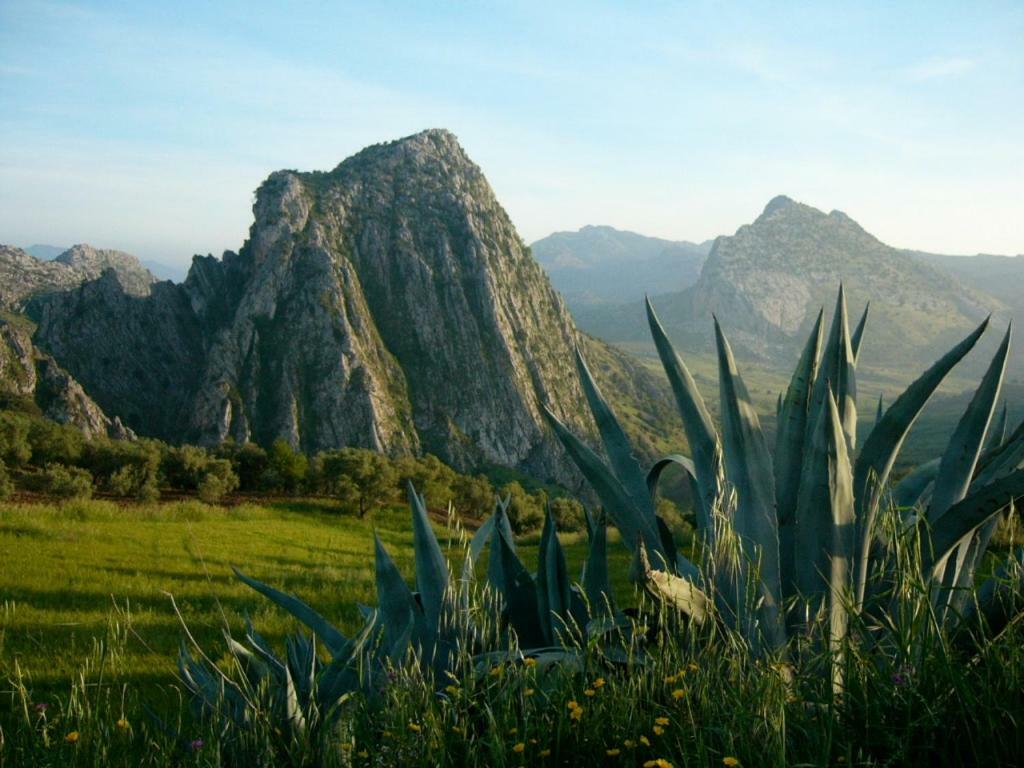 Puerta Verde Montejaque Extérieur photo