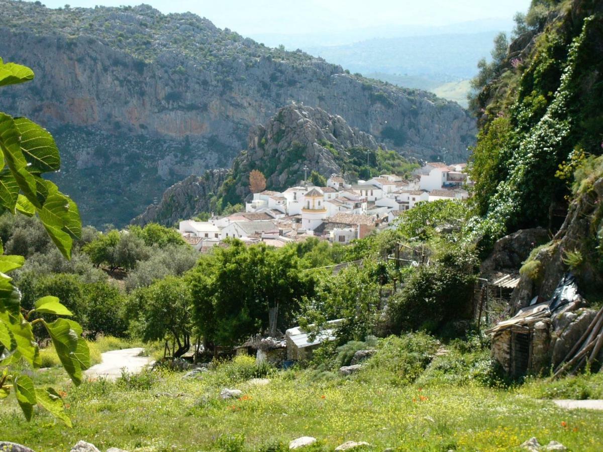 Puerta Verde Montejaque Extérieur photo